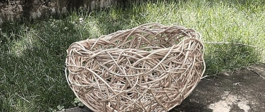 Event-Image for 'Chaostechnik Flechtkurs mit Weide'