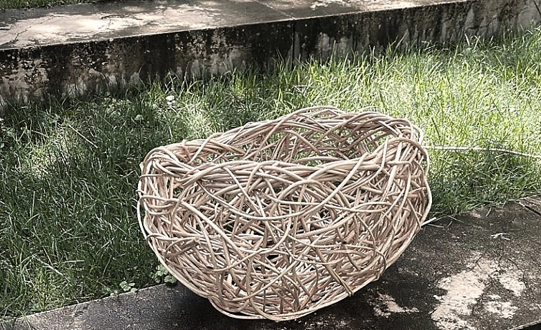 Event-Image for 'Chaostechnik Flechtkurs mit Weide'