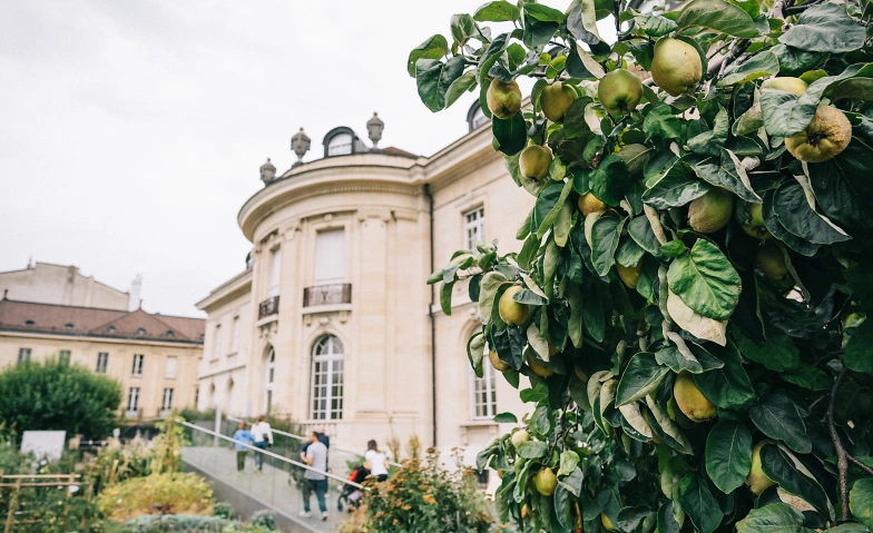 Event-Image for 'La F&ecirc;te de la Nature'