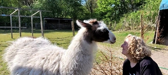 Organisateur de Nordic Walking Kurs in Gelsenkirchen-Buer: Schloss Berge