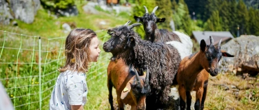 Event-Image for 'Schulreise Sommer 2025: Geissenparadies Göscheneralptal'