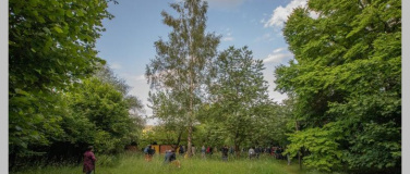 Event-Image for 'lauschig und achtsam – Waldbaden mit Poesie'