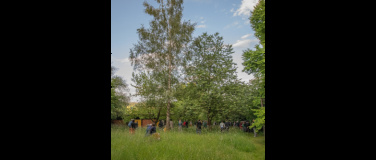 Event-Image for 'lauschig und achtsam - Waldbaden mit Poesie (ausverkauft)'