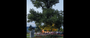 Event-Image for 'lauschig und überraschend – Krimiabend Mit Tine Dreyer und G'