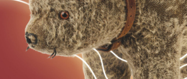 Event-Image for 'Leben & Lassen. Spuren des Menschseins'