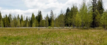 Event-Image for 'Pilzkurs am Langis'