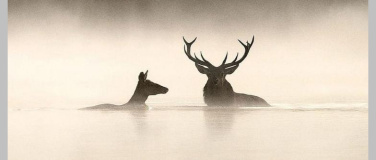 Event-Image for 'Le chant des for&ecirc;ts &ndash; Das Fl&uuml;stern der W&auml;lder'