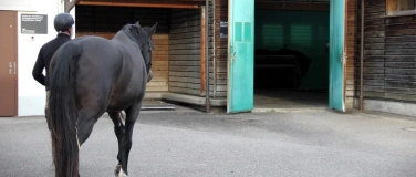 Event-Image for 'Les coulisses de la clinique &eacute;quine d'Avenches'