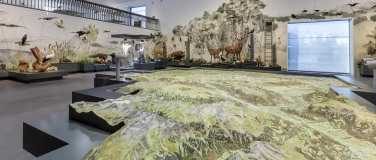 Event-Image for 'Rund um den Kanton St.Gallen - Literarische Entdeckungsreise'