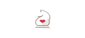 Organisateur de Chess for Charity