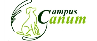 Event-Image for 'Jos&eacute; Arce Durch Struktur, Vertrauen,Klarheit und Sicherheit'