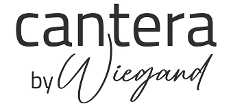 Organisateur de Silvesterparty