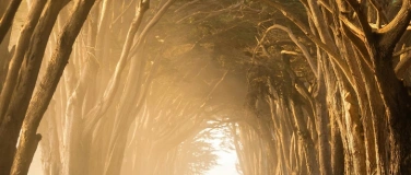 Event-Image for 'Psychologisches Achtsamkeits-Seminar'