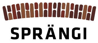 Organisateur de Silvesterparty in der Sprängi mit DJ Gabs