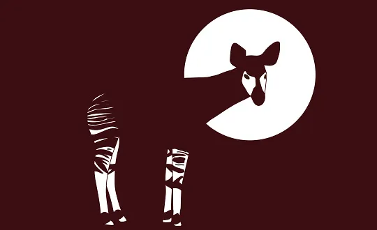 Logo de sponsoring de l'&eacute;v&eacute;nement Okapi Openair 2026 - Freitag