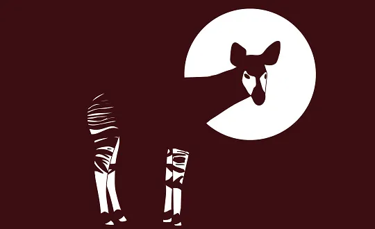 Logo de sponsoring de l'&eacute;v&eacute;nement Okapi Openair 2026 - Samstag