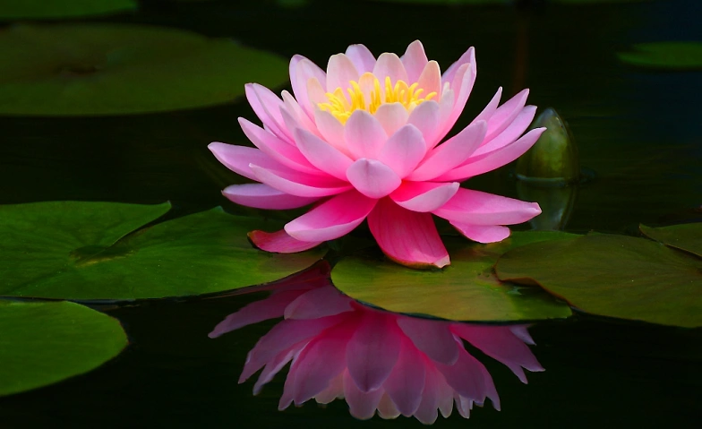 Event-Image for 'Dyads Meditations-Wochenende f&uuml;r spirituelle Transformation'