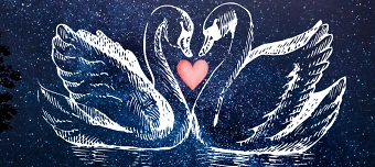 Veranstalter:in von Love Club - attracting a dream partner