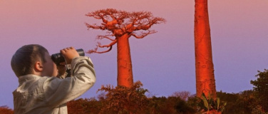 Event-Image for 'Madagaskar &ndash; Alles auf Anfang'