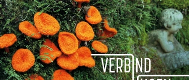 Event-Image for 'Madame Tricot: Verbindungen'
