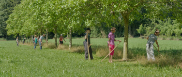 Event-Image for 'Mähen mit der Sense'