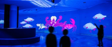 Event-Image for 'Premiere: Drei Freunde aus dem Watt...in Venedig'