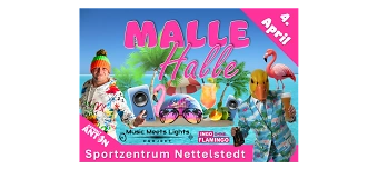 Organisateur de Malle-Halle