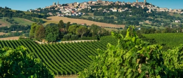 Event-Image for 'Conero: un paesaggio nel calice!'