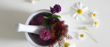 Event-Image for 'Farbenzauber aus der Natur (ab 7 Jahren)'