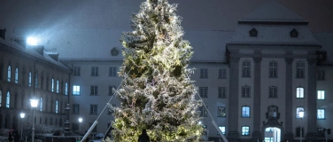 Event-Image for 'Die Weihnachtstanne kommt geflogen'