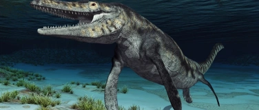Event-Image for 'Naturama Kinderclub: Die Giganten der Urzeit'
