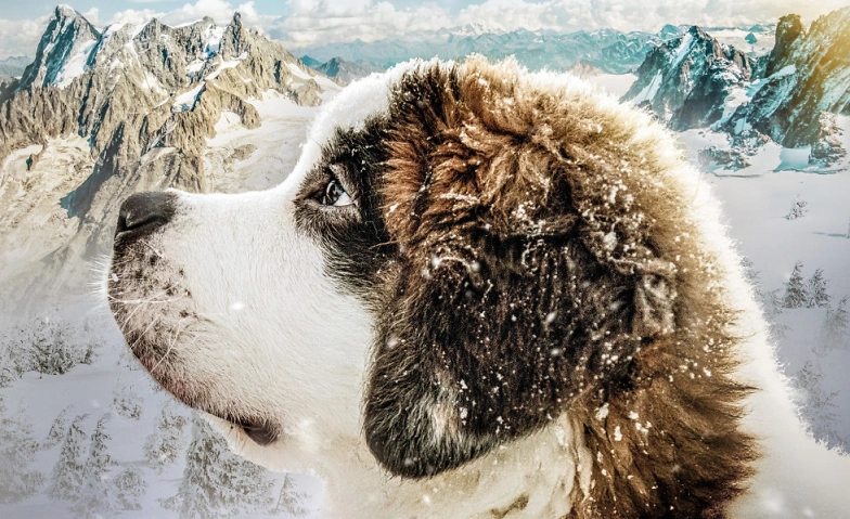 Event-Image for 'MEIN FREUND BARRY'