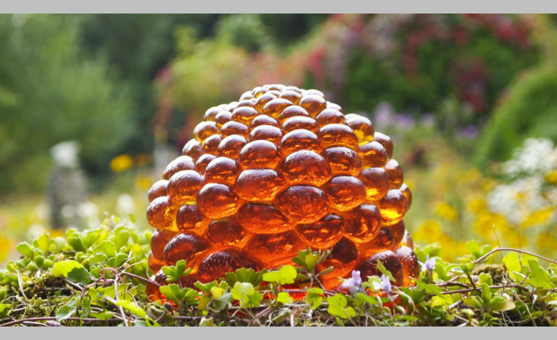 Event-Image for 'Micha Aregger in der Kobesenm&uuml;hle'