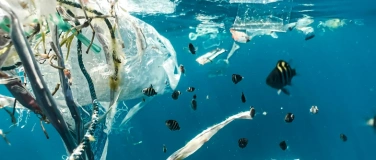 Event-Image for 'Dem Mikroplastik auf der Spur'