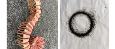 Event-Image for 'Holz und Wind aus Baden'