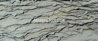 Event-Image for 'Winzer Tage Weingut Markus Molitor'
