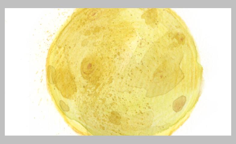 Event-Image for 'Mondglanz - Ein Babykonzert'