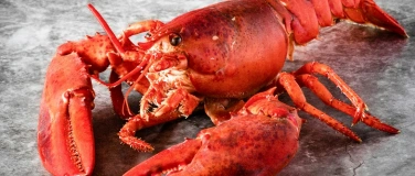 Event-Image for 'Hummer Tafeln in der Fischerstube am Z&uuml;rihorn'