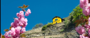 Event-Image for 'Wine & Dine mit Mont d'Or'