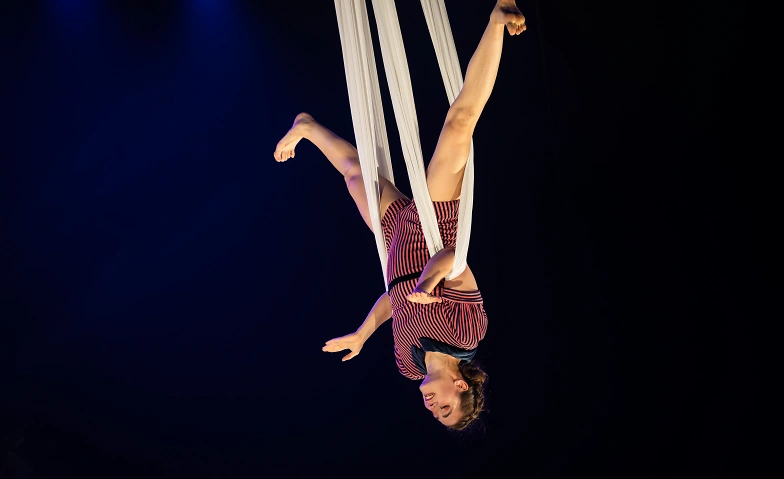 Event-Image for 'Circus Monti – «Bric Brac»'