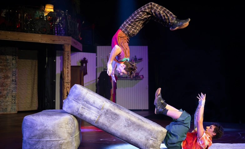 Circus Monti &ndash; &laquo;Bric Brac&raquo; Tickets