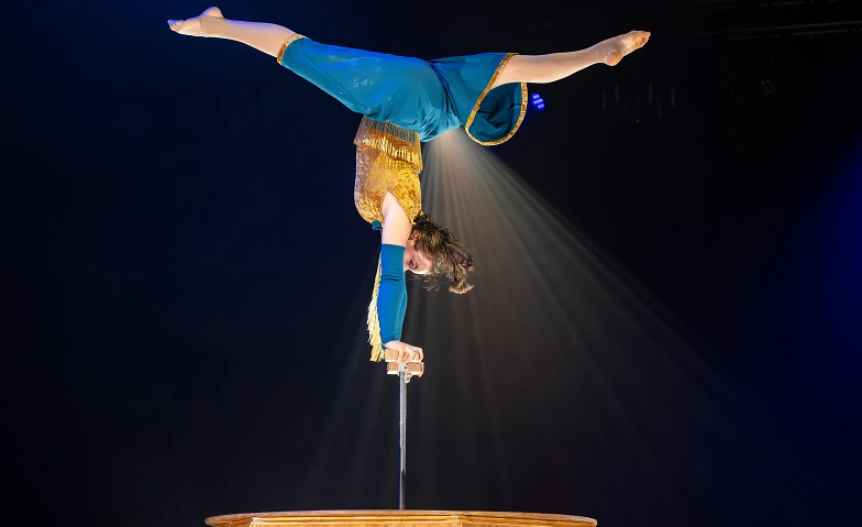 Circus Monti – «Bric Brac» Billets