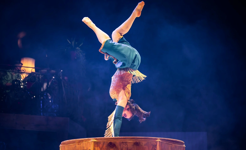 Circus Monti – «Bric Brac» Billets