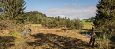 Event-Image for 'Mooreinsatz: Arnegger Schutzgebiet Witi/Altmoos'