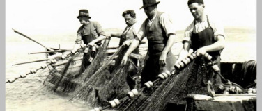 Event-Image for 'Museumsführung «Fette Fänge, miese Muscheln»'