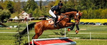 Event-Image for 'Pferdesport im Haufgarten Eiken'