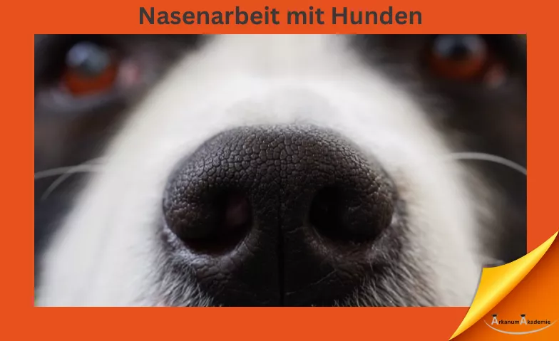 Fachkurs Nasenarbeit für Hundesport ArkanumAkademie, Oberrindal 39, 9604 Oberrindal Billets