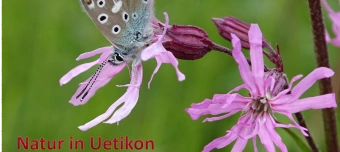 Organisateur de Natur in Uetikon