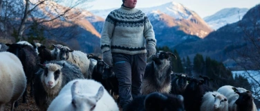 Event-Image for 'Film: WOOLLY'