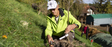 Event-Image for 'Natur verbindet - Baumalle zur Vernetzung'